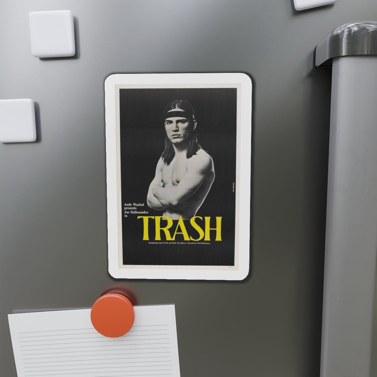 ANDY WARHOL'S TRASH 1970 Movie Poster - Die-Cut Magnet-The Sticker Space