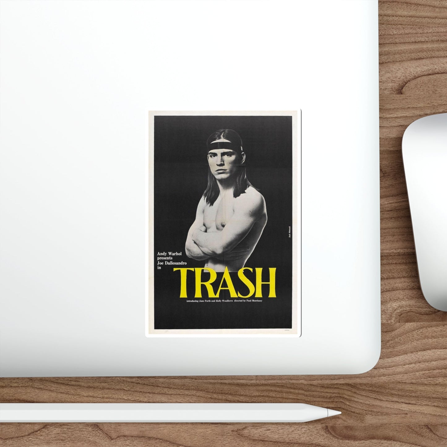 ANDY WARHOL'S TRASH 1970 Movie Poster STICKER Vinyl Die-Cut Decal-The Sticker Space