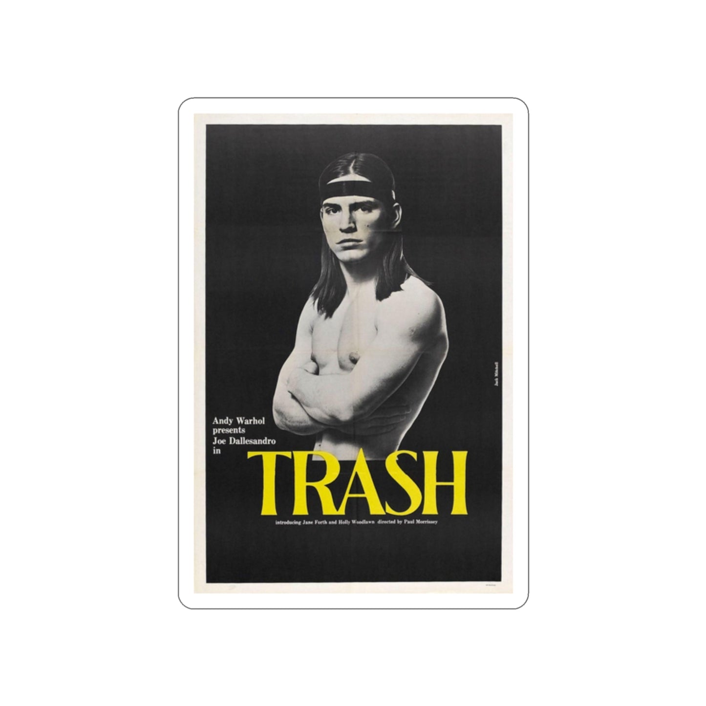 ANDY WARHOL'S TRASH 1970 Movie Poster STICKER Vinyl Die-Cut Decal-2 Inch-The Sticker Space