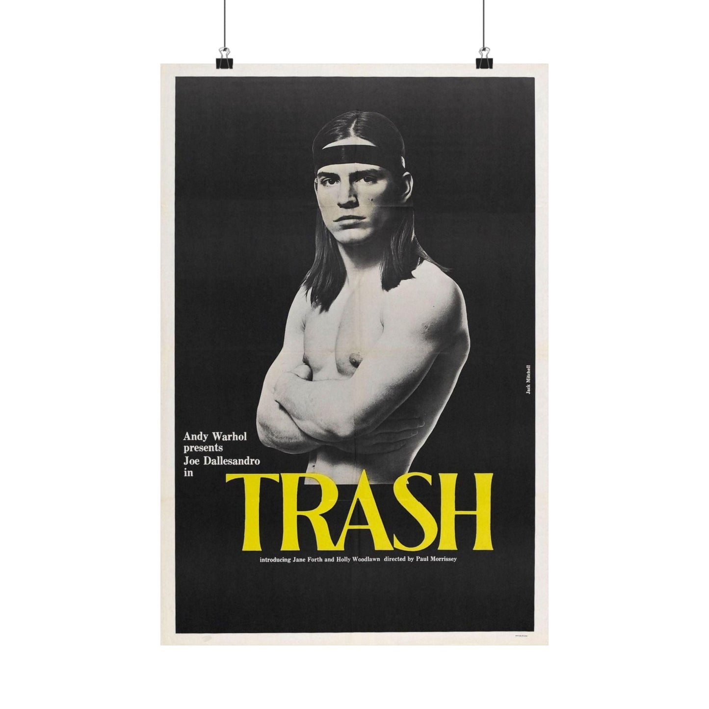 ANDY WARHOL'S TRASH 1970 - Paper Movie Poster-16″ x 24″-The Sticker Space