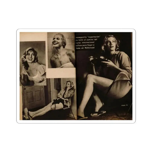 Anita Ekberg #237 - 4 B&W Photos from Foto Mag. '56 (Vintage Female Icon) STICKER Vinyl Kiss-Cut Decal 2 Inch White - The Sticker Space