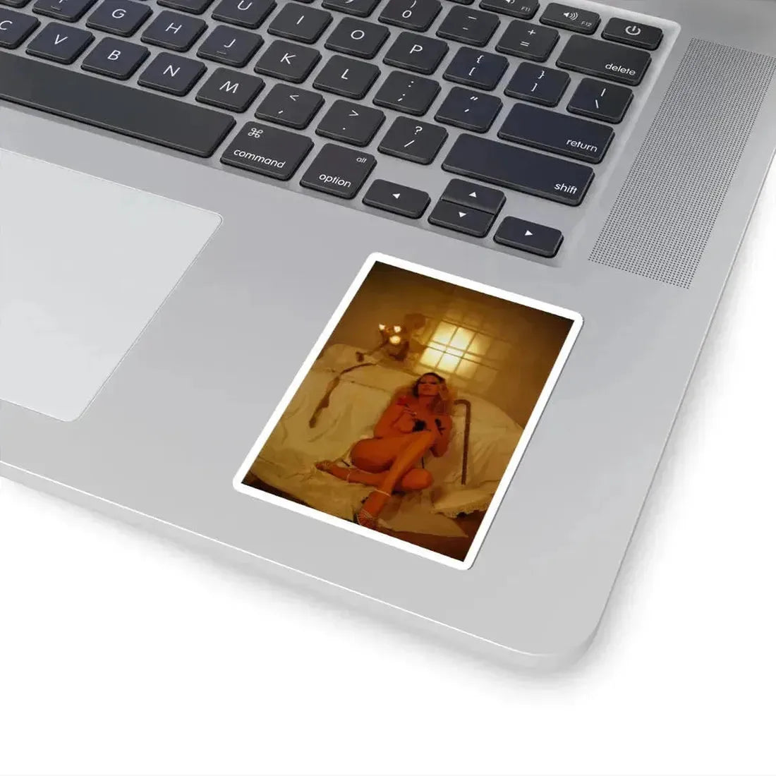 Anita Ekberg #256 - Italian Playboy Mag. Oct. '78 Photo (Vintage Female Icon) STICKER Vinyl Kiss-Cut Decal - The Sticker Space