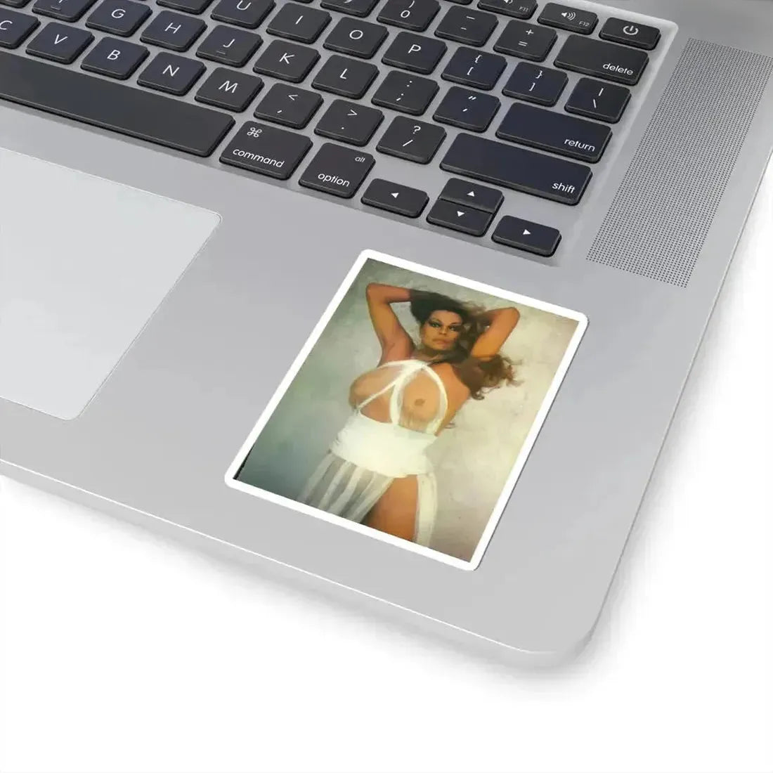 Anita Ekberg #262 - Italian Playboy Mag. Oct. '78 Photo (Vintage Female Icon) STICKER Vinyl Kiss-Cut Decal - The Sticker Space