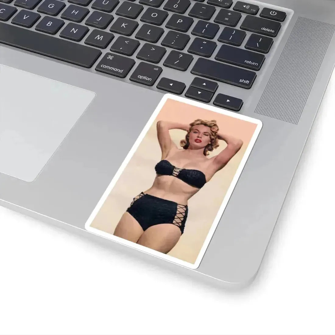 Anita Ekberg #271 (Vintage Female Icon) STICKER Vinyl Kiss-Cut Decal - The Sticker Space