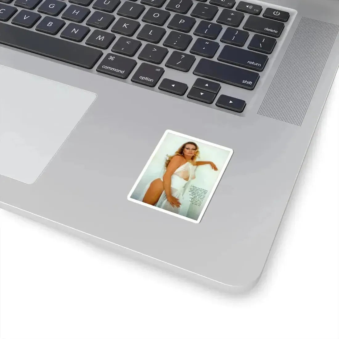 Anita Ekberg #285 - Italian Playboy Mag. Oct. '78 Photo (Vintage Female Icon) STICKER Vinyl Kiss-Cut Decal - The Sticker Space