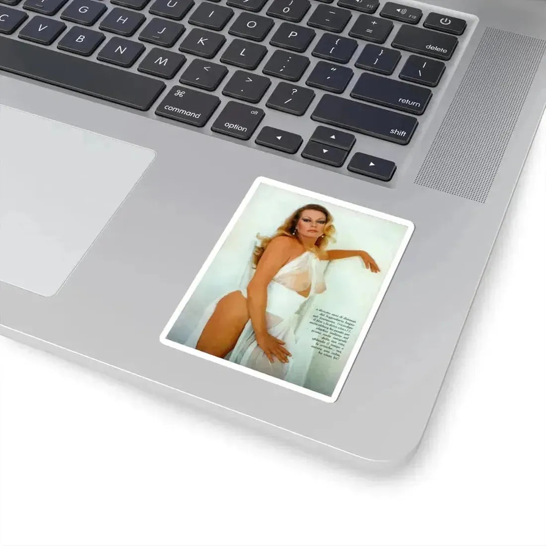 Anita Ekberg #285 - Italian Playboy Mag. Oct. '78 Photo (Vintage Female Icon) STICKER Vinyl Kiss-Cut Decal - The Sticker Space