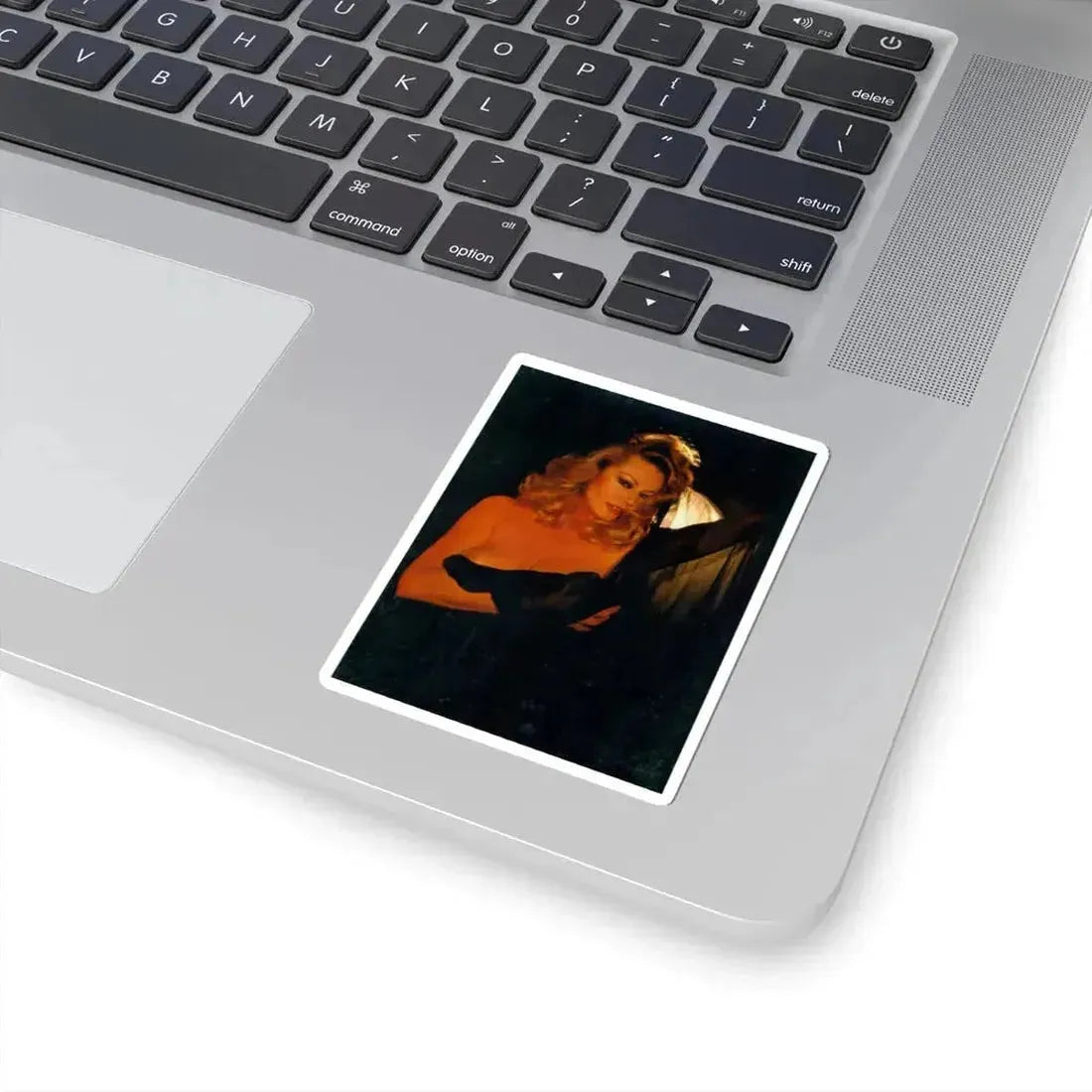 Anita Ekberg #288 - Italian Playboy Mag. Oct. '78 Photo (Vintage Female Icon) STICKER Vinyl Kiss-Cut Decal - The Sticker Space