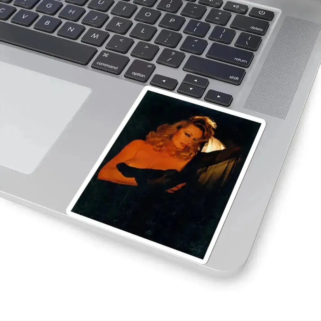 Anita Ekberg #288 - Italian Playboy Mag. Oct. '78 Photo (Vintage Female Icon) STICKER Vinyl Kiss-Cut Decal - The Sticker Space