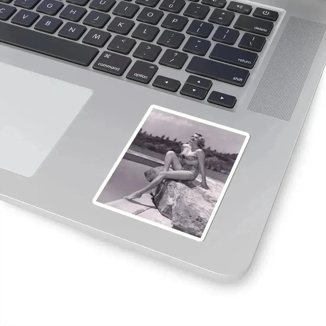 Anita Ekberg #294 (Vintage Female Icon) STICKER Vinyl Kiss-Cut Decal - The Sticker Space