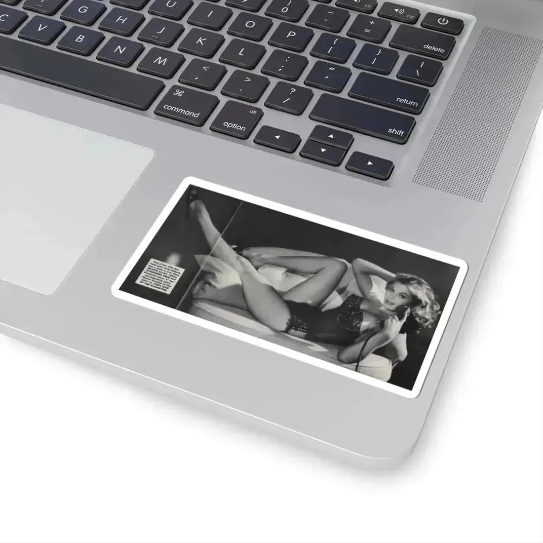 Anita Ekberg #309 - Femme Fatales Mag. Aug. '98 Photo (Vintage Female Icon) STICKER Vinyl Kiss-Cut Decal - The Sticker Space