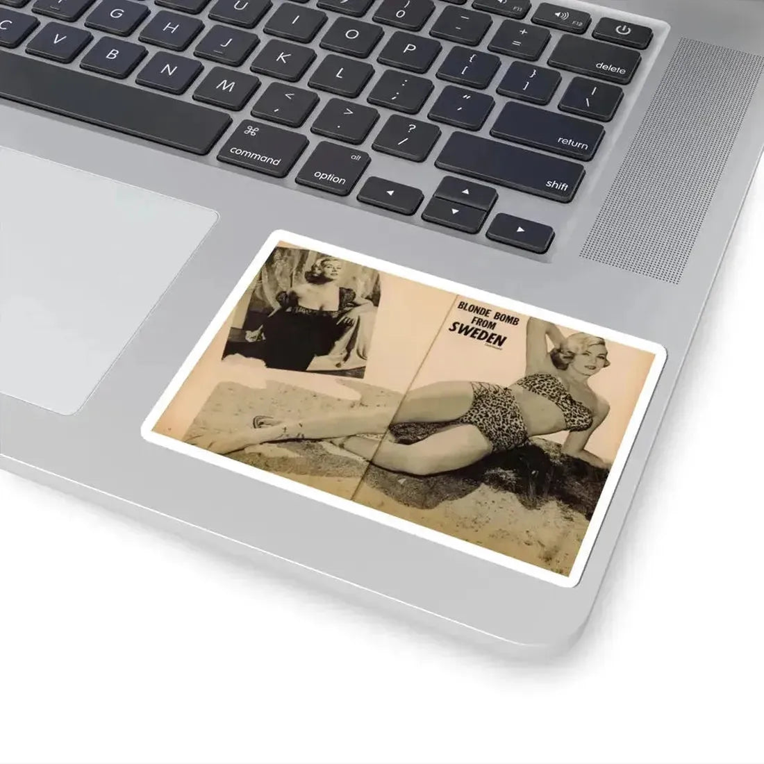 Anita Ekberg #319 - 2 Pages, 1 B&W Photo & 1 B&W Centerfold Photo from Glamorous Models Mag. May '54 (Vintage Female Icon) STICKER Vinyl Kiss-Cut Decal - The Sticker Space