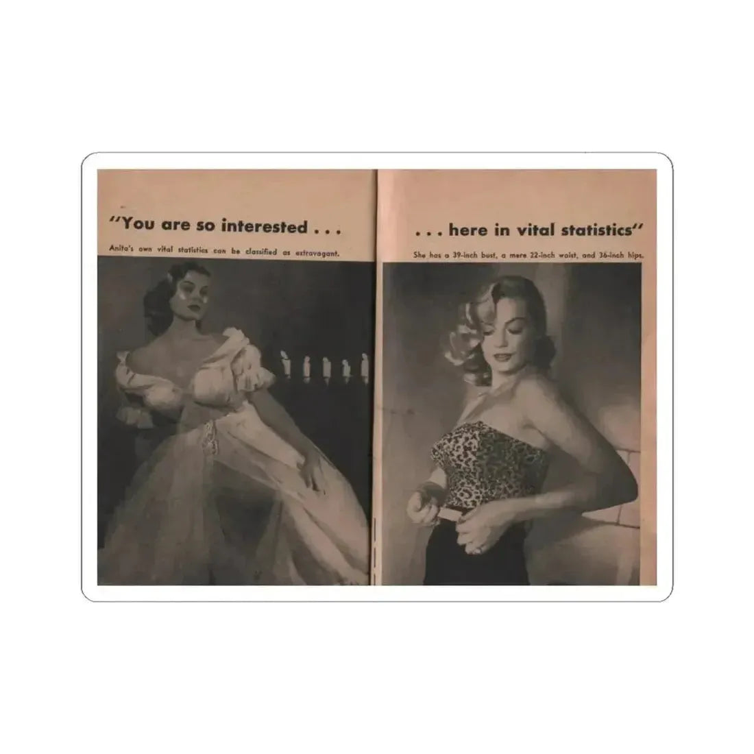 Anita Ekberg #340 - That Girl Anita Pocket Mag. '55 (Vintage Female Icon) STICKER Vinyl Kiss-Cut Decal 3 Inch White - The Sticker Space