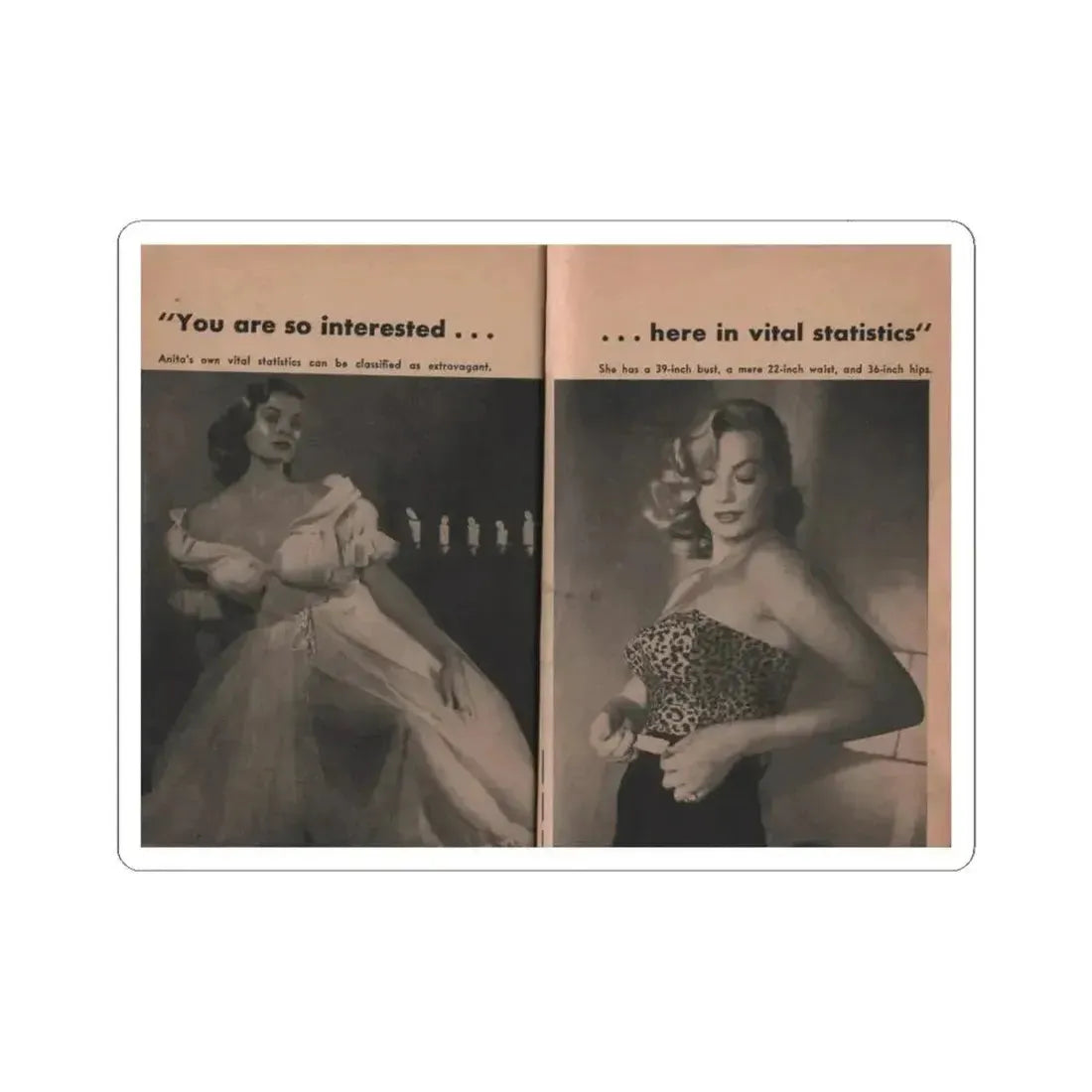 Anita Ekberg #340 - That Girl Anita Pocket Mag. '55 (Vintage Female Icon) STICKER Vinyl Kiss-Cut Decal 6 Inch White - The Sticker Space