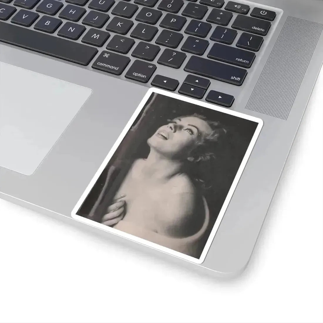 Anita Ekberg #350 - That Girl Anita Pocket Mag. '55 (Vintage Female Icon) STICKER Vinyl Kiss-Cut Decal - The Sticker Space