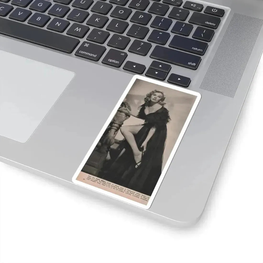 Anita Ekberg #352 - Modern Screen Mag. July '55 (Vintage Female Icon) STICKER Vinyl Kiss-Cut Decal - The Sticker Space