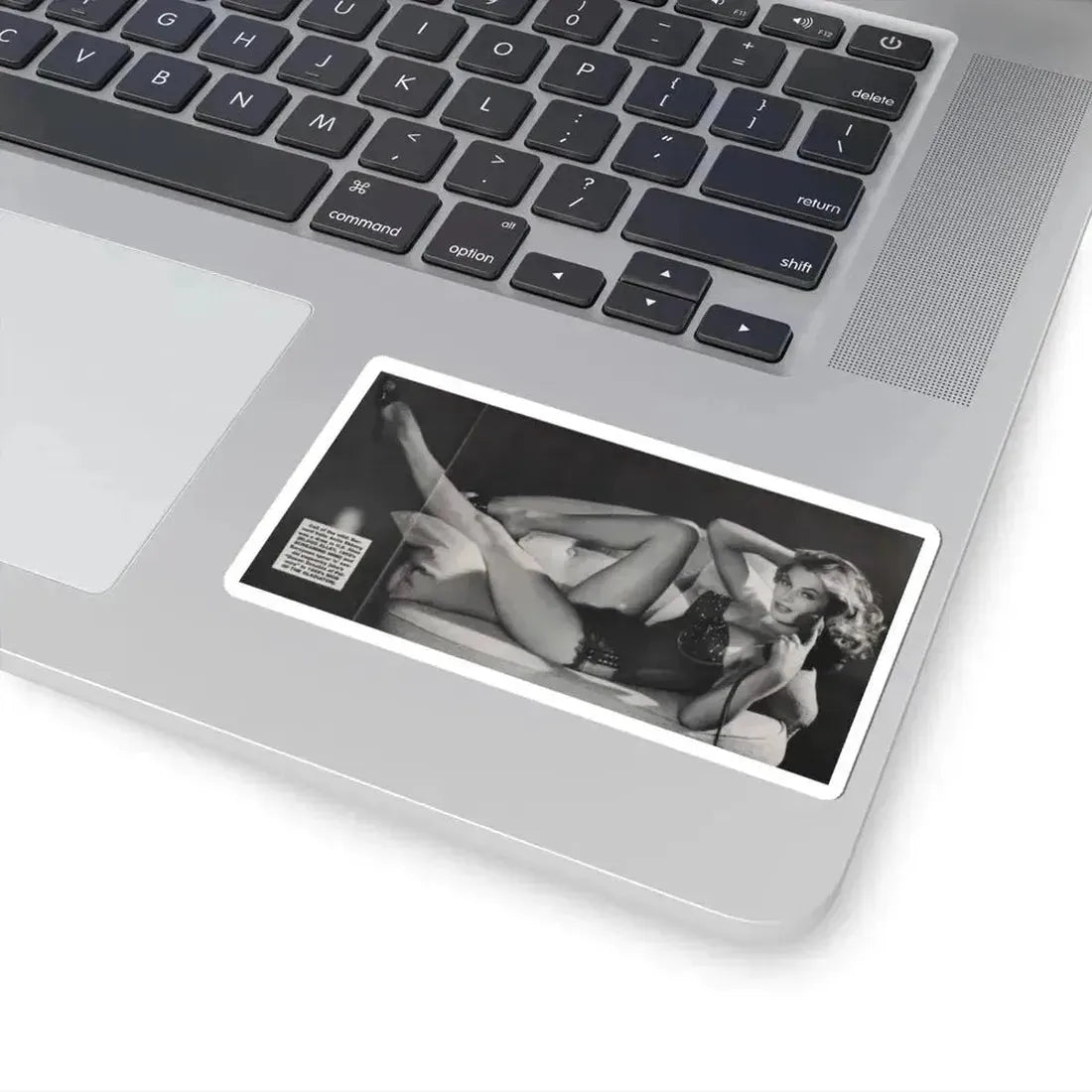 Anita Ekberg #390 - Femme Fatales Mag. Aug. '98 - 1 B&W Centerfold Photo (Vintage Female Icon) STICKER Vinyl Kiss-Cut Decal - The Sticker Space