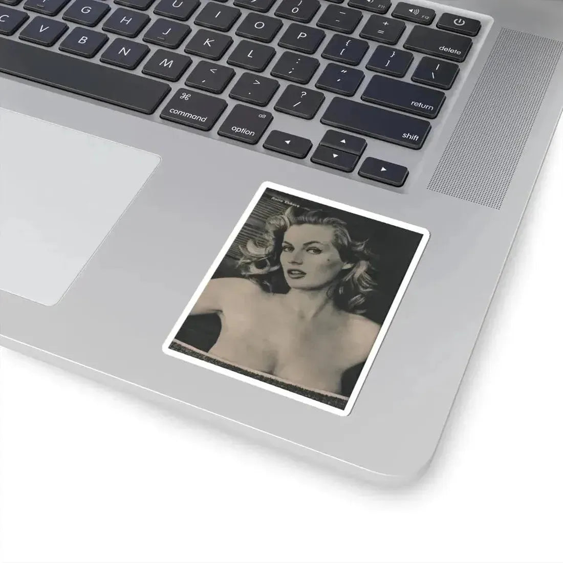 Anita Ekberg #393 - Fabulous Females Mag. Issue #1 '55 - 1 B&W Photo (Vintage Female Icon) STICKER Vinyl Kiss-Cut Decal - The Sticker Space