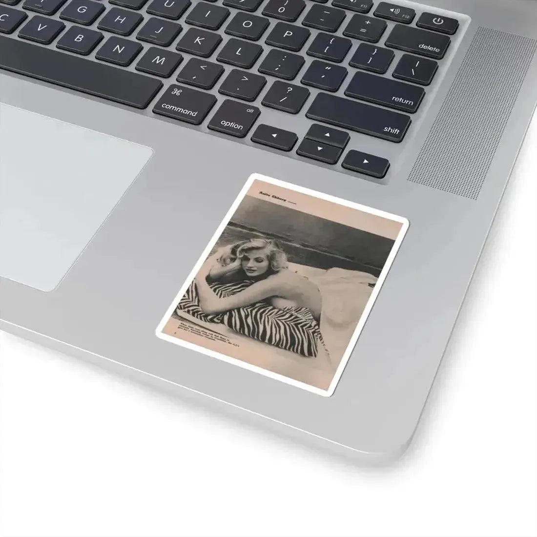 Anita Ekberg #395 - Fabulous Females Mag. Issue #1 '55 - Part of B&W Centerfold (Vintage Female Icon) STICKER Vinyl Kiss-Cut Decal - The Sticker Space