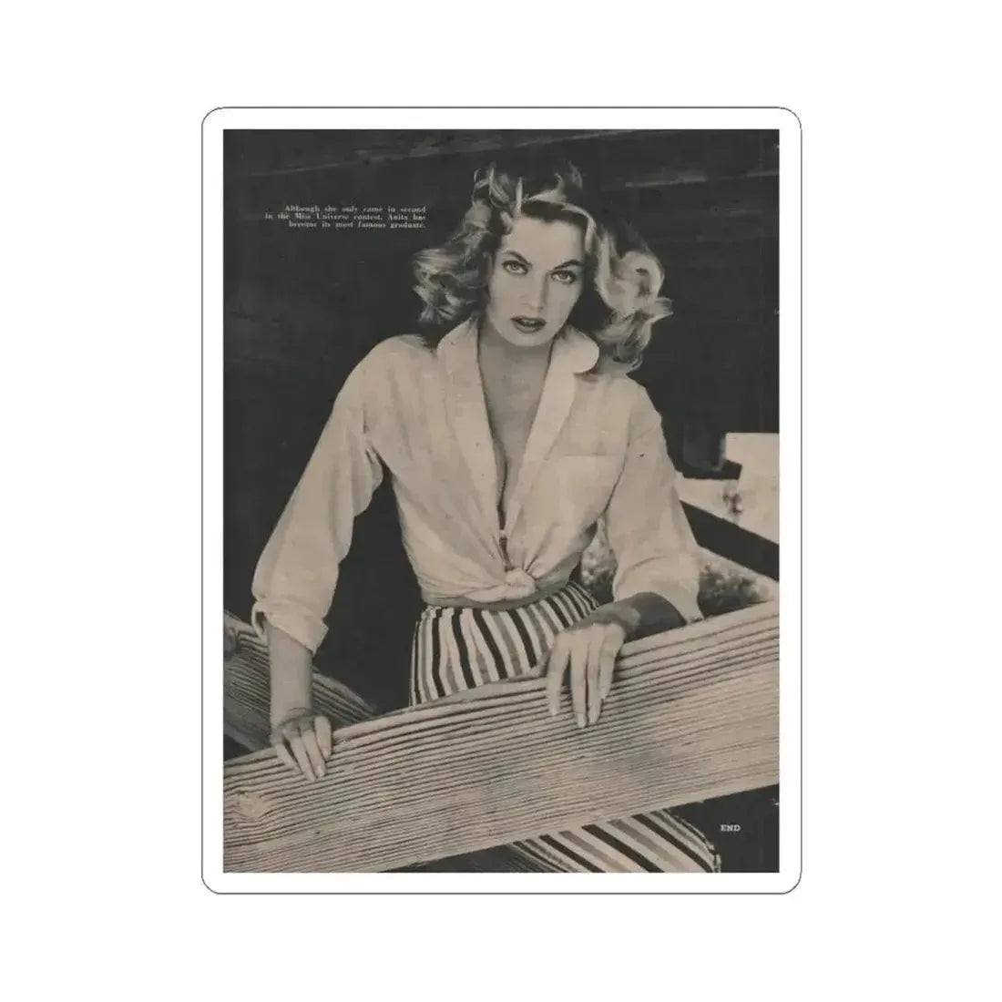 Anita Ekberg #398 - Fabulous Females Mag. Issue #1 '55 - 1 B&W Photo & Caption (Vintage Female Icon) STICKER Vinyl Kiss-Cut Decal 4 Inch White - The Sticker Space