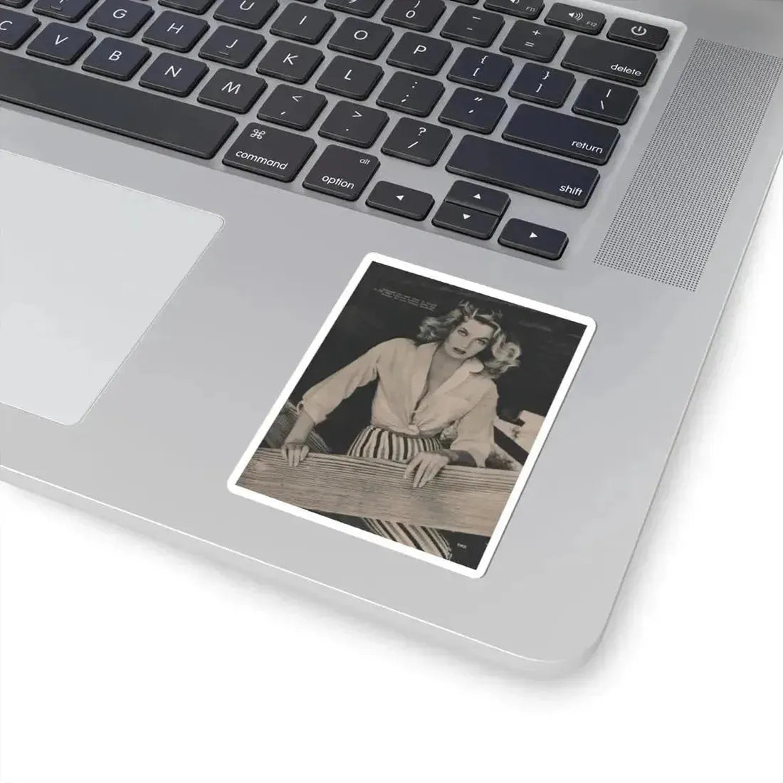 Anita Ekberg #398 - Fabulous Females Mag. Issue #1 '55 - 1 B&W Photo & Caption (Vintage Female Icon) STICKER Vinyl Kiss-Cut Decal - The Sticker Space