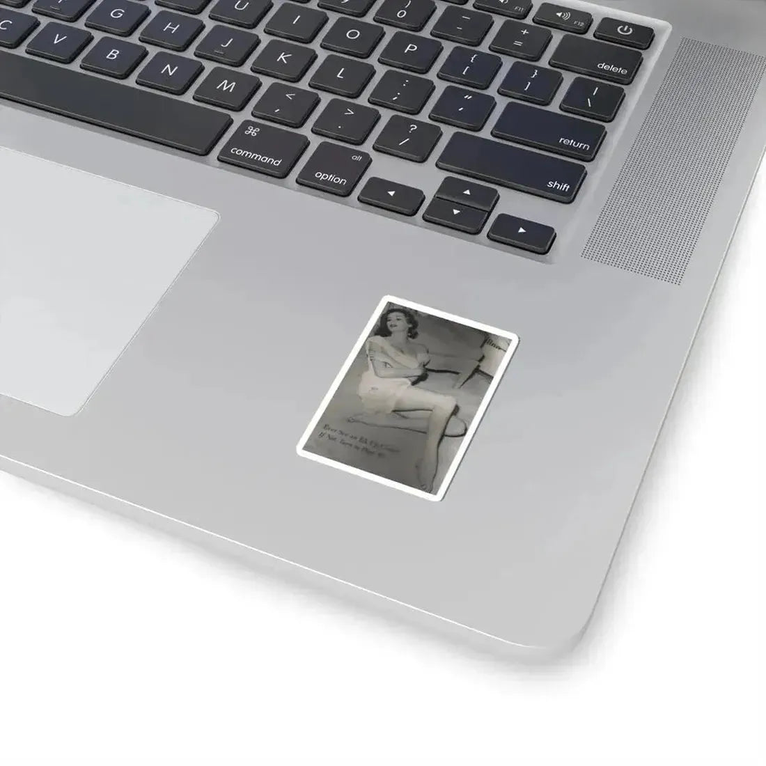 Anita Ekberg #400 - PHOTO Digest Mag. Nov. '55 - Inside of Cover 1 B&W Pic (Vintage Female Icon) STICKER Vinyl Kiss-Cut Decal - The Sticker Space