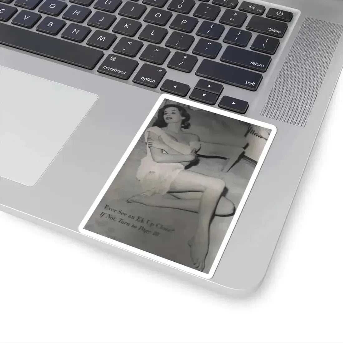 Anita Ekberg #400 - PHOTO Digest Mag. Nov. '55 - Inside of Cover 1 B&W Pic (Vintage Female Icon) STICKER Vinyl Kiss-Cut Decal - The Sticker Space