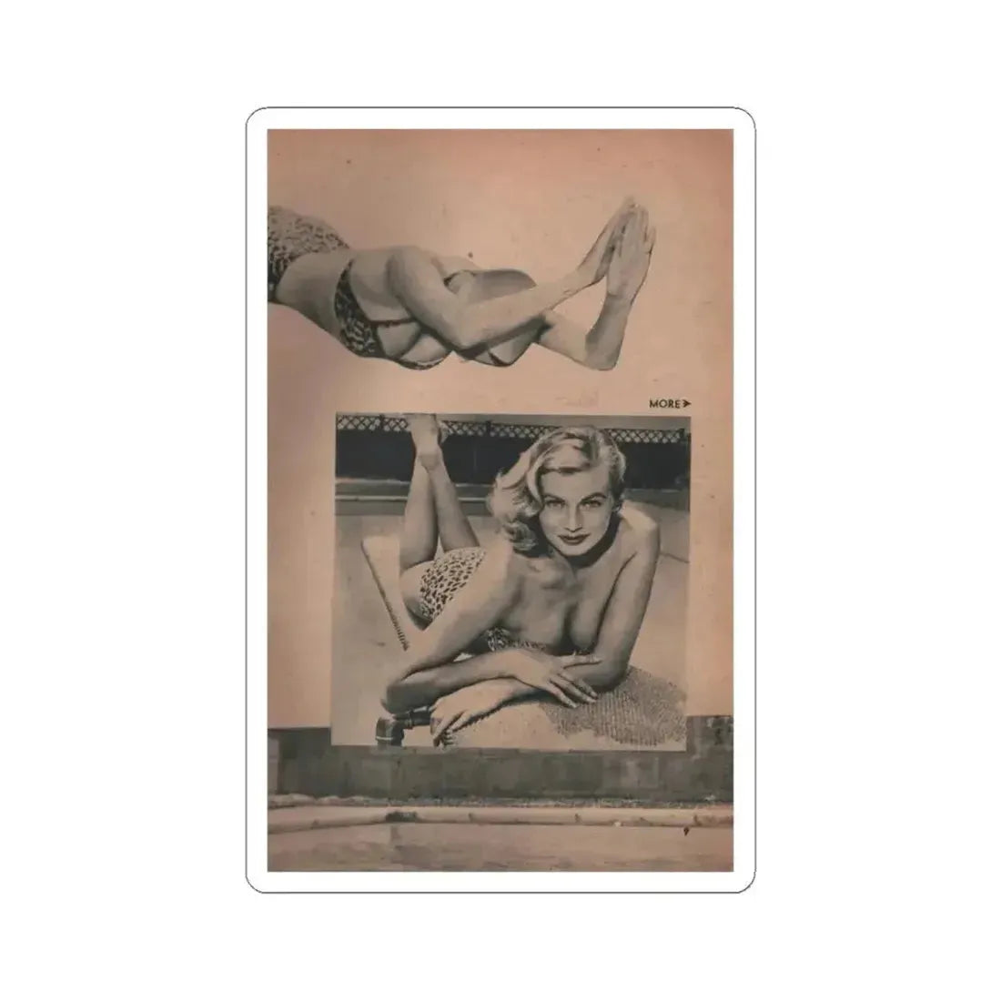 Anita Ekberg #422 - EYE Digest Mag. Jan. '54 - 1 Page & 1 B&W Photo (Vintage Female Icon) STICKER Vinyl Kiss-Cut Decal 3 Inch White - The Sticker Space