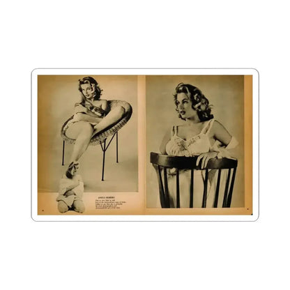 Anita Ekberg #443 - Bachelor Pin-Ups Issue #01 Mag. '57 - 2 Pages, 3 B&W Photos, Caption & Brief Article (Vintage Female Icon) STICKER Vinyl Kiss-Cut Decal 3 Inch White - The Sticker Space