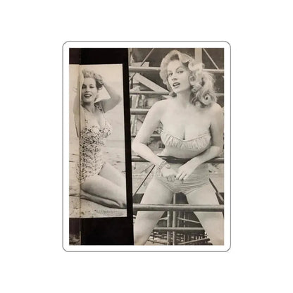 Anita Ekberg #448 - 1 Page, 2 B&W Photos from After Hours Vol. 1, No. 4 '57 Mag. (Vintage Female Icon) STICKER Vinyl Die-Cut Decal - The Sticker Space