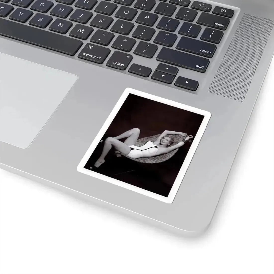 Anita Ekberg #451 - 8x10 B&W Pin-Up Photo HQ Re-Print (Vintage Female Icon) STICKER Vinyl Kiss-Cut Decal - The Sticker Space