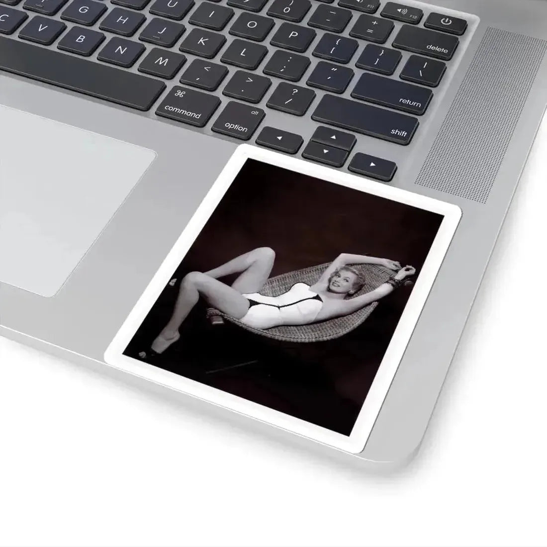 Anita Ekberg #451 - 8x10 B&W Pin-Up Photo HQ Re-Print (Vintage Female Icon) STICKER Vinyl Kiss-Cut Decal - The Sticker Space