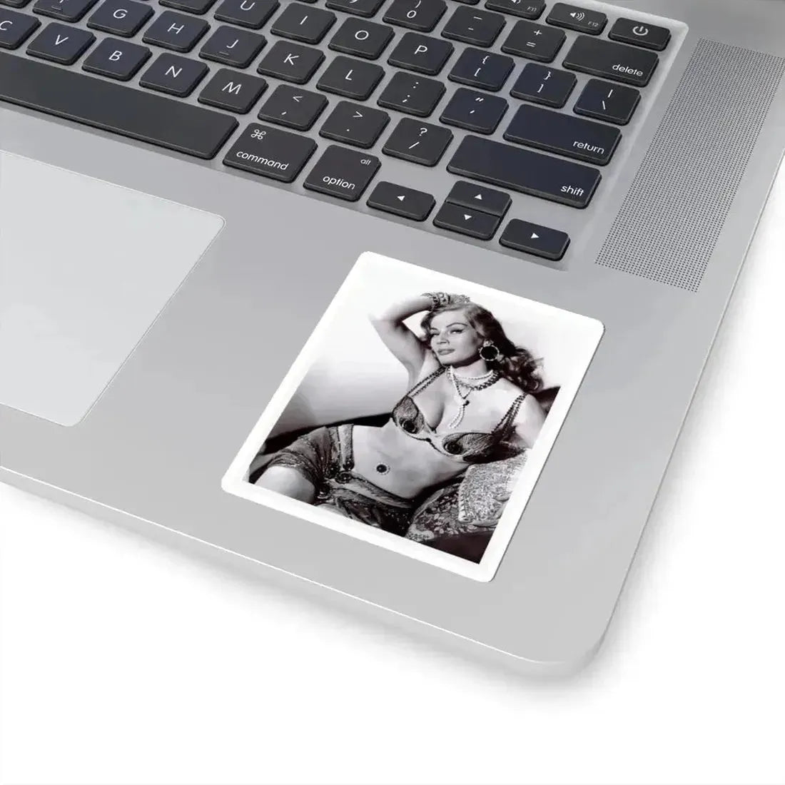 Anita Ekberg #452 - 8x10 B&W Glamour Movie Photo HQ Re-Print (Vintage Female Icon) STICKER Vinyl Kiss-Cut Decal - The Sticker Space