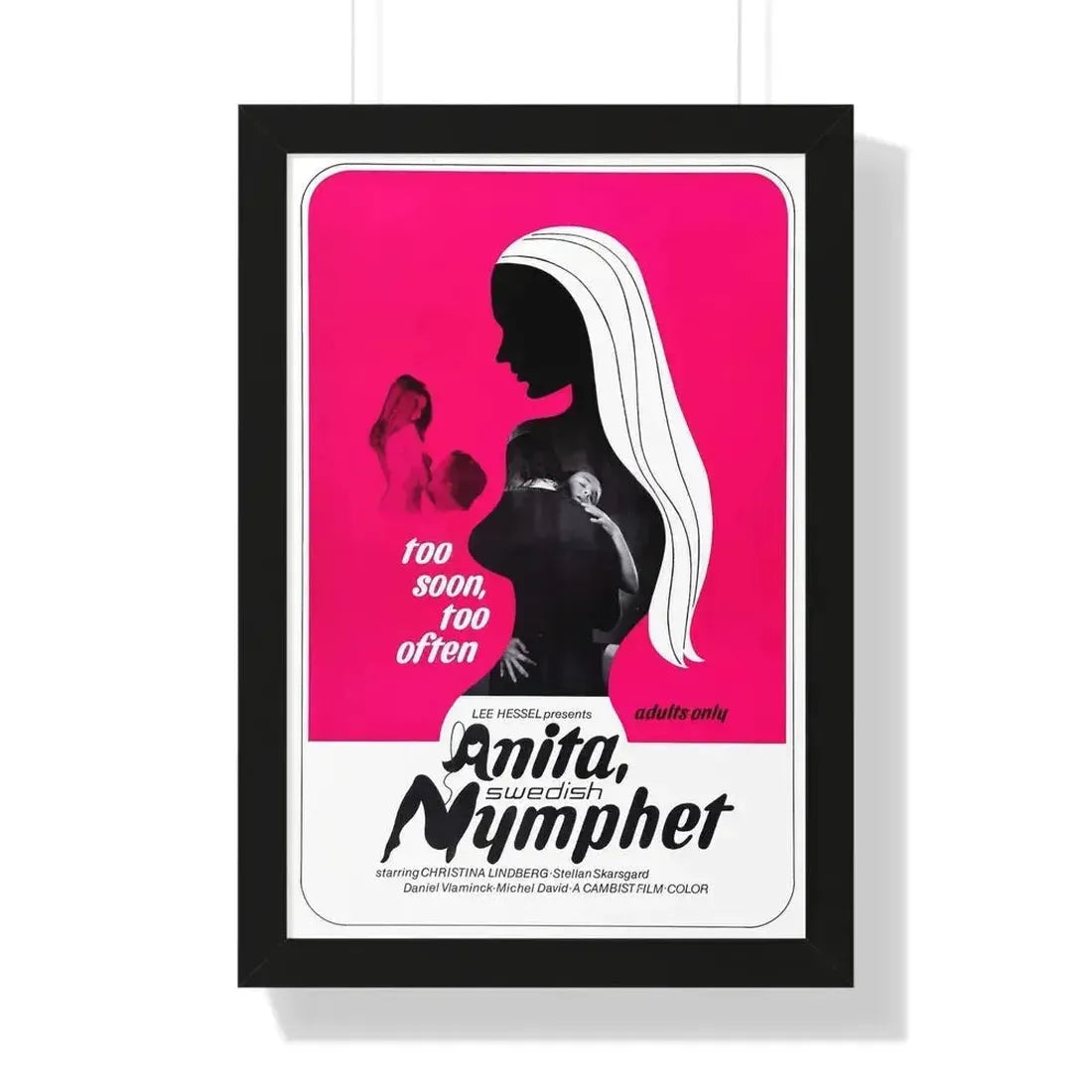 ANITA SWEDISH NYMPHET 1973 - Framed Movie Poster 16″ x 24″ Black - The Sticker Space
