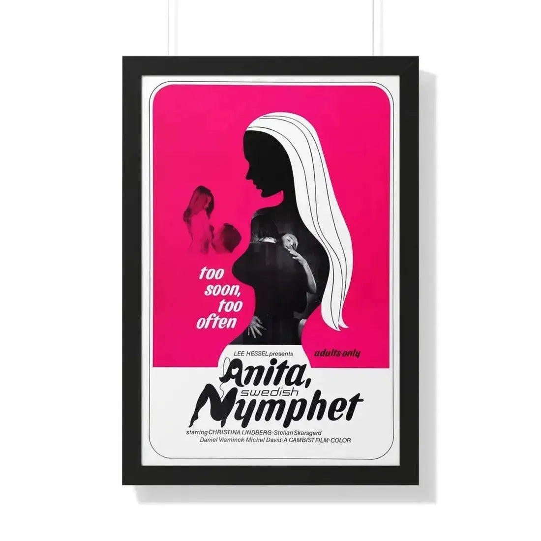 ANITA SWEDISH NYMPHET 1973 - Framed Movie Poster 20" x 30" Black - The Sticker Space