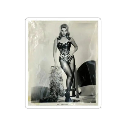 Ann-Margret #13 (Vintage Female Icon) STICKER Vinyl Die-Cut Decal - The Sticker Space