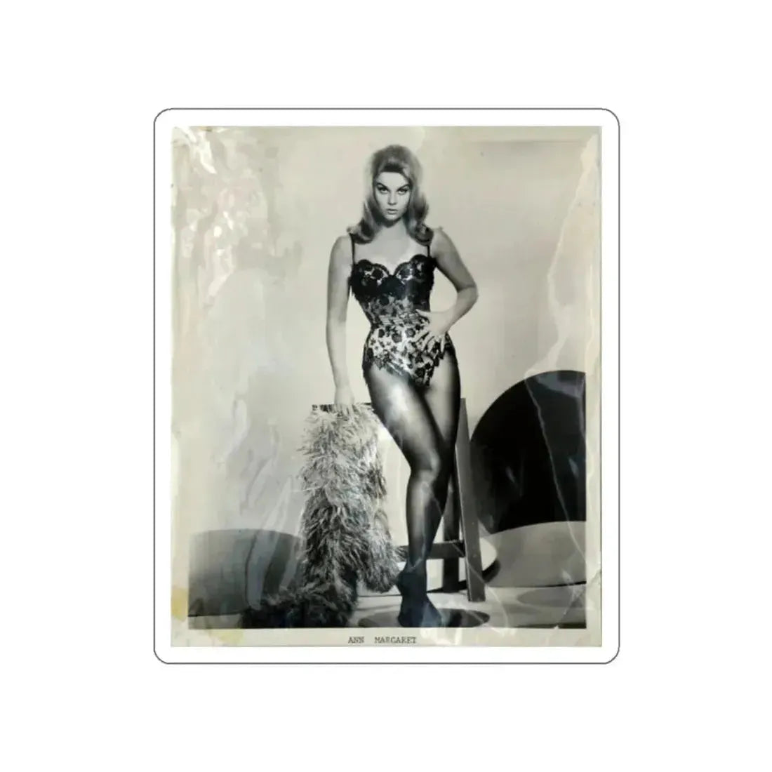 Ann-Margret #13 (Vintage Female Icon) STICKER Vinyl Die-Cut Decal White Die-Cut 2 Inch - The Sticker Space