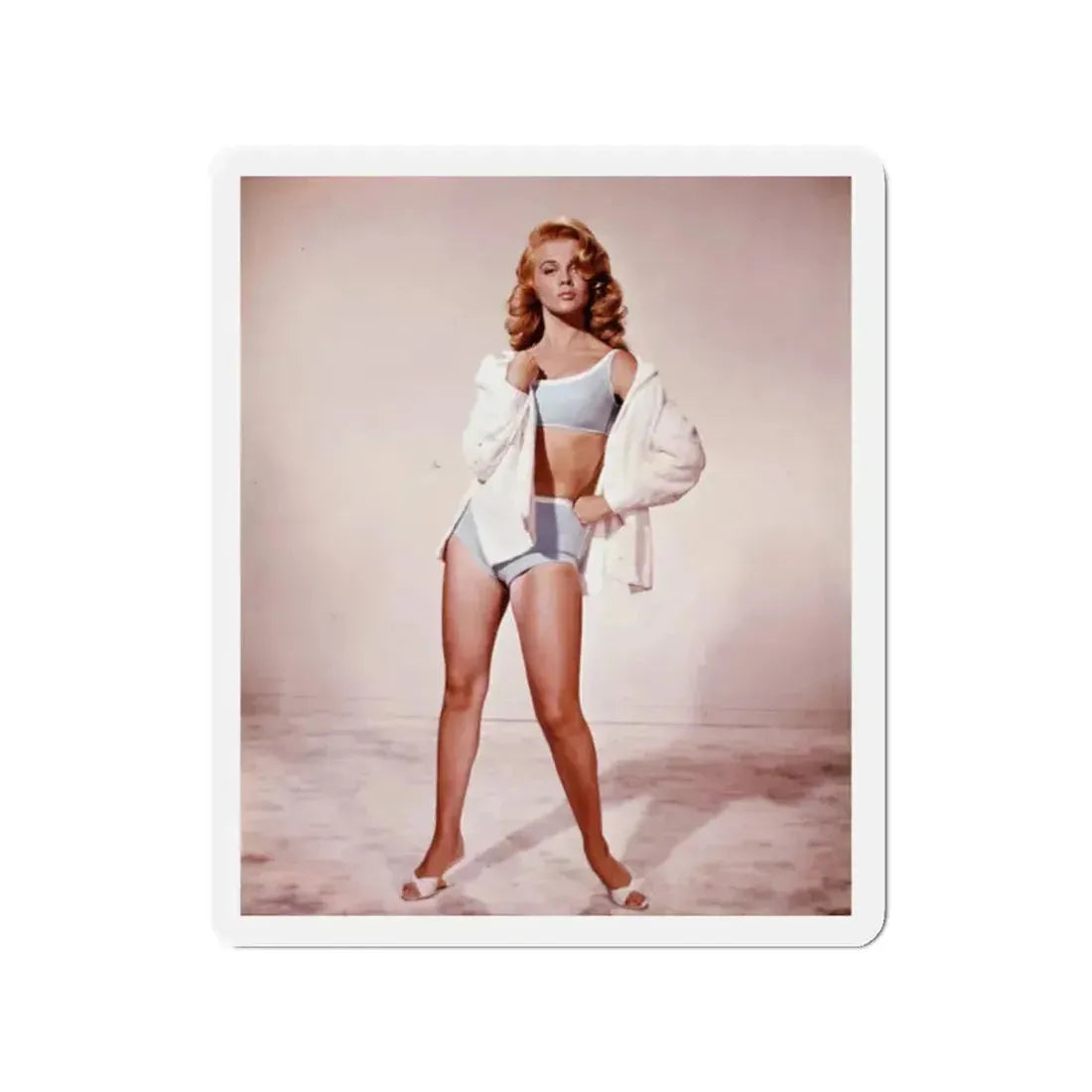 Ann-Margret #146 (Vintage Female Icon) Refrigerator Magnet 2 Inch Die-Cut - The Sticker Space