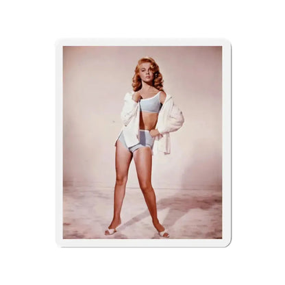 Ann-Margret #146 (Vintage Female Icon) Refrigerator Magnet 2 Inch Die-Cut - The Sticker Space