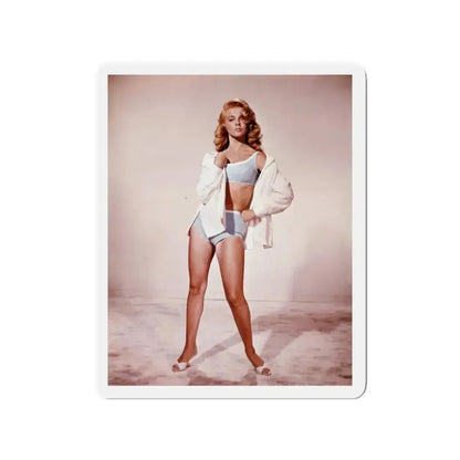 Ann-Margret #146 (Vintage Female Icon) Refrigerator Magnet 3 Inch Die-Cut - The Sticker Space