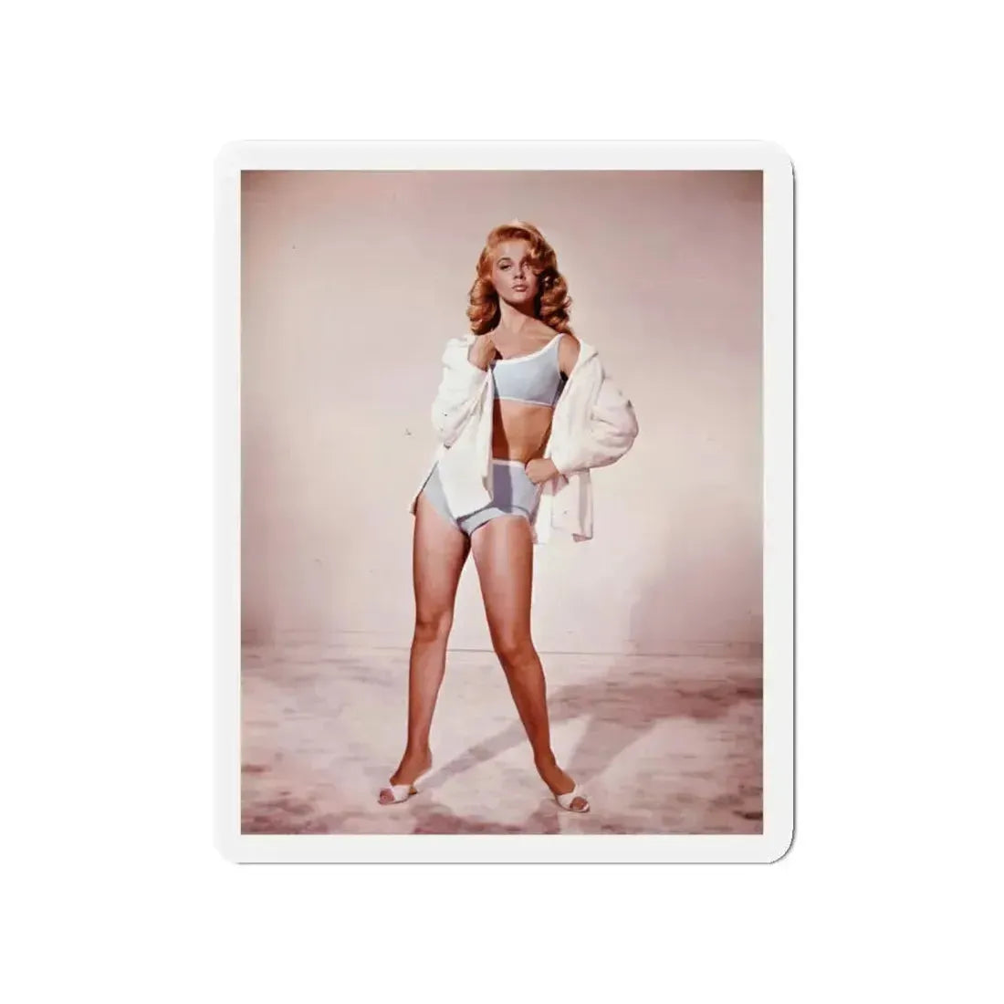 Ann-Margret #146 (Vintage Female Icon) Refrigerator Magnet 4 Inch Die-Cut - The Sticker Space