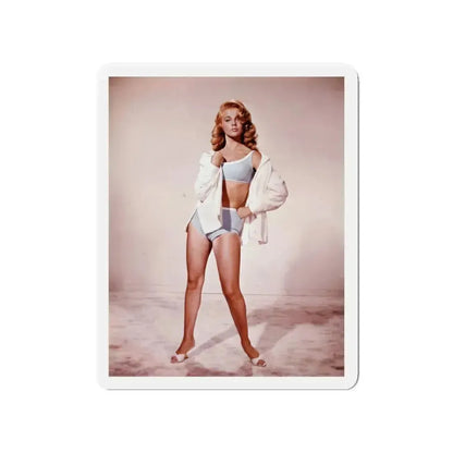 Ann-Margret #146 (Vintage Female Icon) Refrigerator Magnet 4 Inch Die-Cut - The Sticker Space