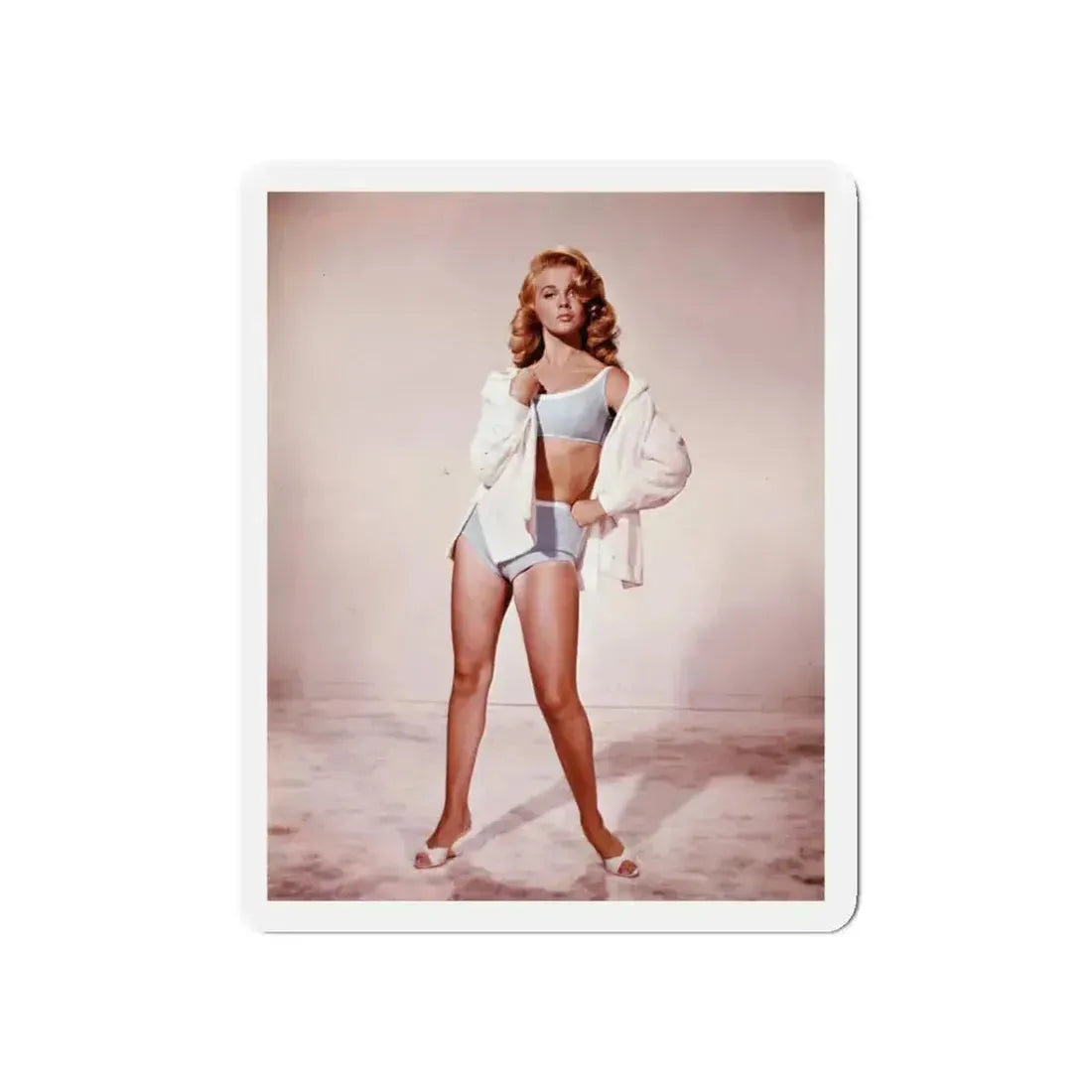 Ann-Margret #146 (Vintage Female Icon) Refrigerator Magnet 5 Inch Die-Cut - The Sticker Space