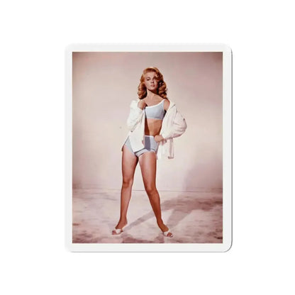 Ann-Margret #146 (Vintage Female Icon) Refrigerator Magnet 5 Inch Die-Cut - The Sticker Space