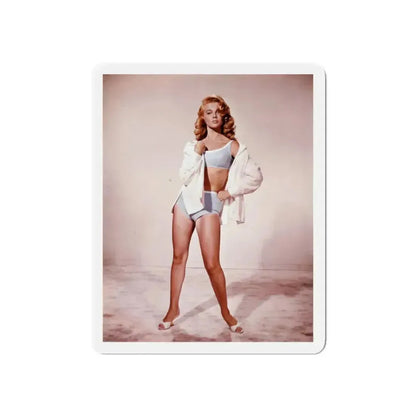 Ann-Margret #146 (Vintage Female Icon) Refrigerator Magnet 6 Inch Die-Cut - The Sticker Space