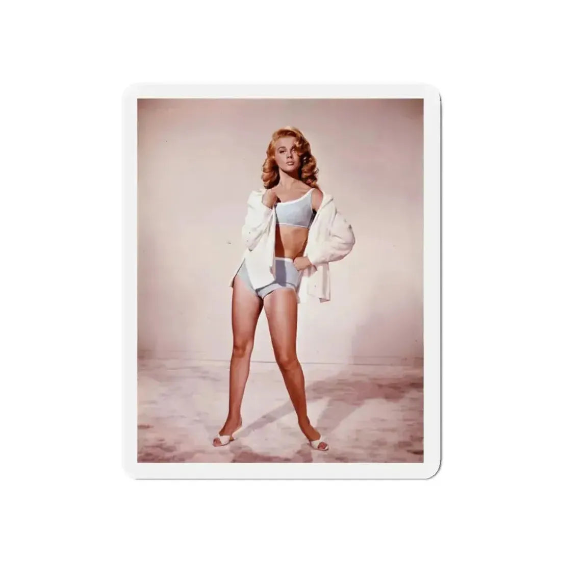 Ann-Margret #146 (Vintage Female Icon) Refrigerator Magnet - The Sticker Space
