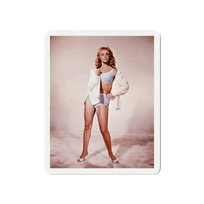 Ann-Margret #146 (Vintage Female Icon) Refrigerator Magnet - The Sticker Space