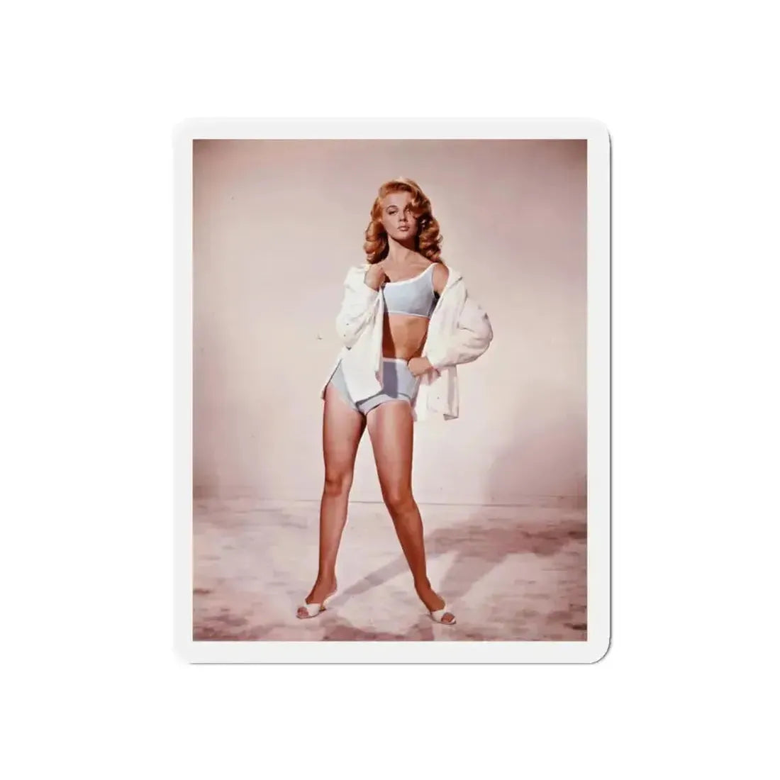 Ann-Margret #146 (Vintage Female Icon) Refrigerator Magnet - The Sticker Space