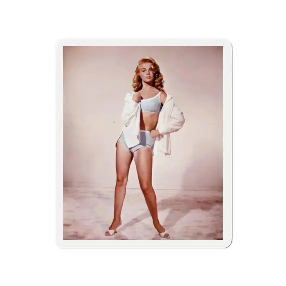 Ann-Margret #146 (Vintage Female Icon) Refrigerator Magnet - The Sticker Space