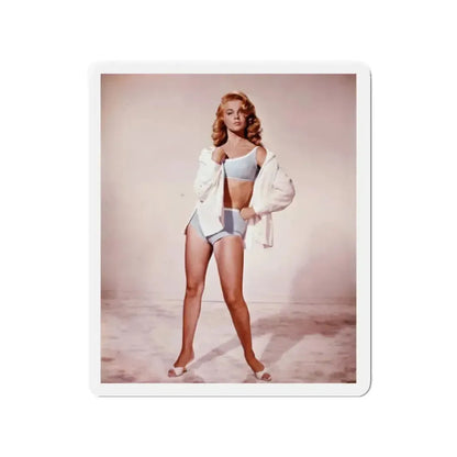 Ann-Margret #146 (Vintage Female Icon) Refrigerator Magnet - The Sticker Space