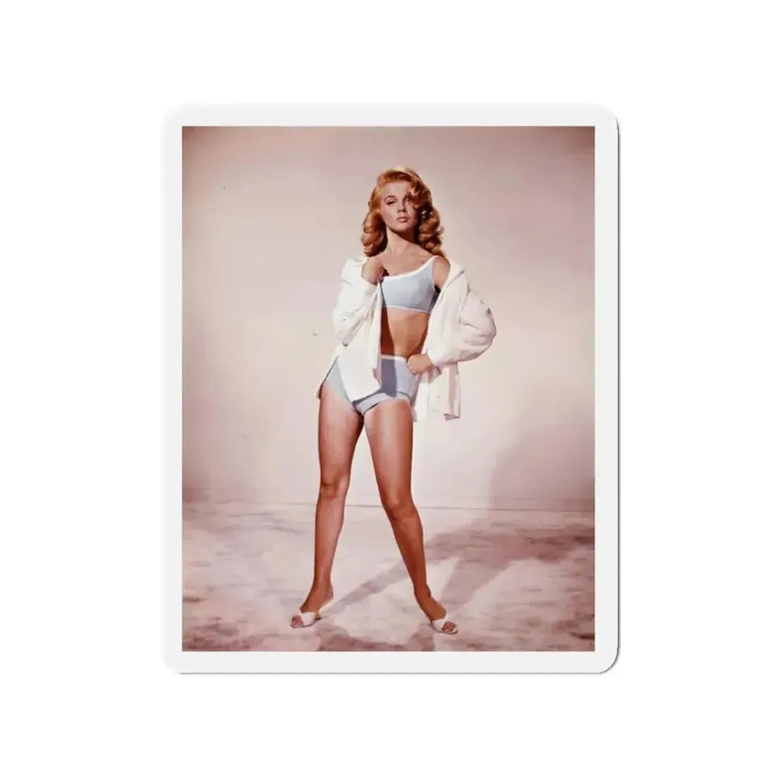 Ann-Margret #146 (Vintage Female Icon) Refrigerator Magnet - The Sticker Space